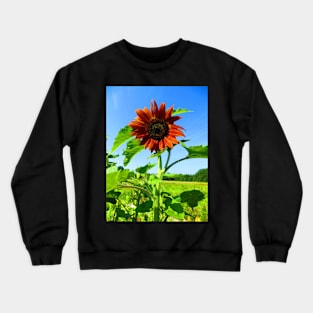 Gorgeous Rusty Red Autumn Sunflower Crewneck Sweatshirt